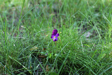 Similar image 829891