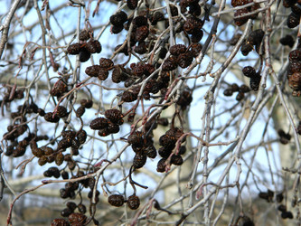 Similar image 829950