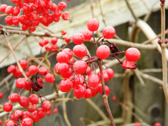 Similar image 829958