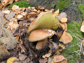 Similar image 829964