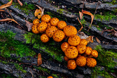 Similar image 829986