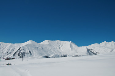 Similar image 830044