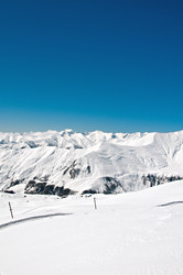 Similar image 830045