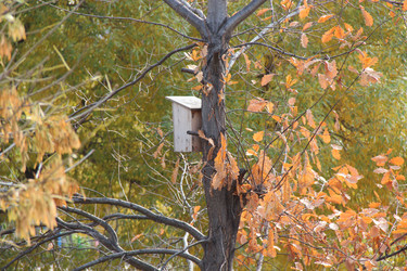 Similar image 830058