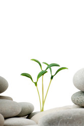 Similar image 830072