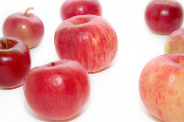 Similar image 830091