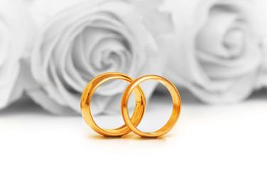 Similar image 830099