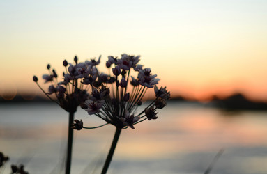 Similar image 830102