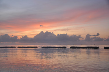 Similar image 830104