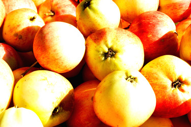 Similar image 830132