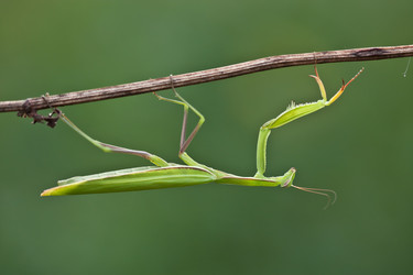 Similar image 830269