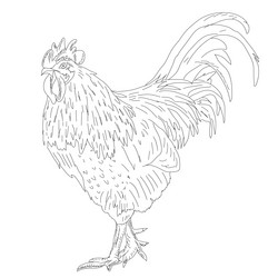 Similar image 830276