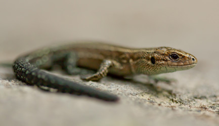 Similar image 830282