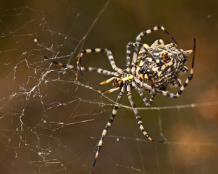 Similar image 830284