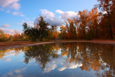 Similar image 830309