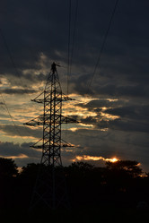 Similar image 830329