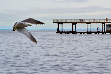 Similar image 830330