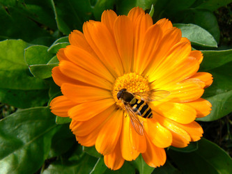 Similar image 830331