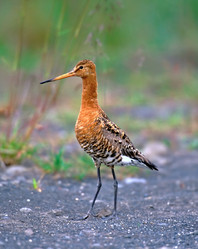 Similar image 830361