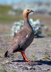 Similar image 830363