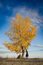 Similar image 830439