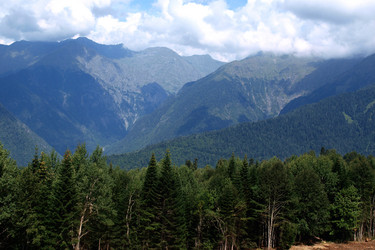 Similar image 830469