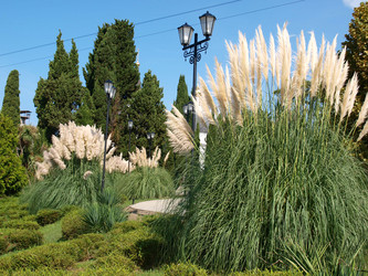 Similar image 830473