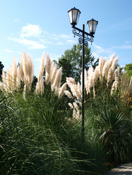 Similar image 830474