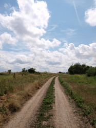 Similar image 830481