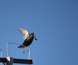 Similar image 830485