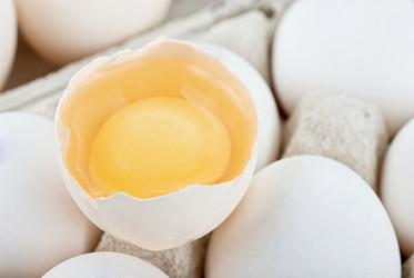 Similar image 830496