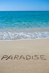 Similar image 830519