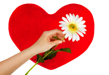 Similar image 830562