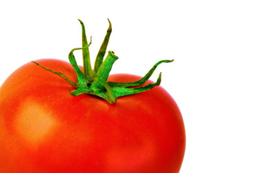 Similar image 830566