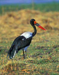 Similar image 830643