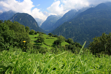 Similar image 830651