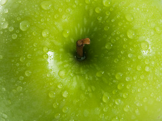 Similar image 830748