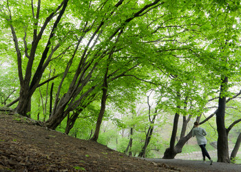 Similar image 830775