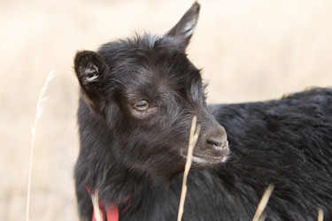 Similar image 830776