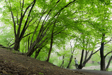 Similar image 830777