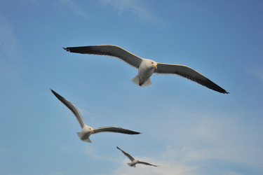 Similar image 830783