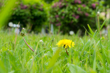 Similar image 830784