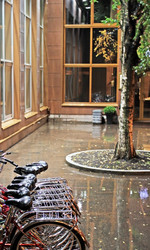 Similar image 830843