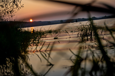 Similar image 830856