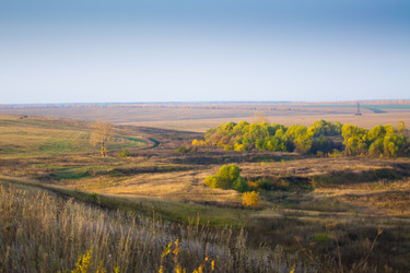 Similar image 830859