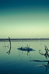 Similar image 830860