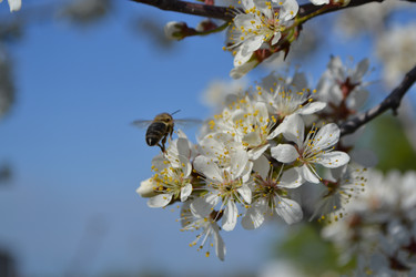 Similar image 830872