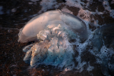 Similar image 830878