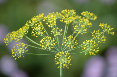 Similar image 830882