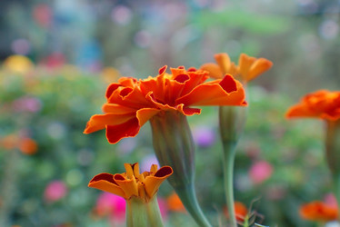 Similar image 830894